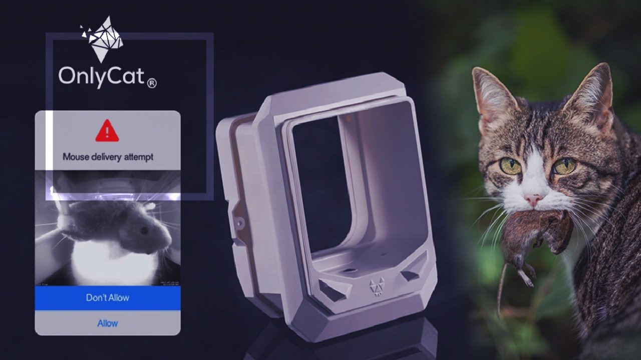 Portinha inteligente - dispositivo impede gatos de levar presas para dentro de casa