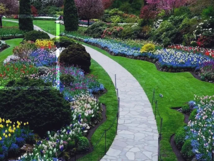 Quais as melhores plantas para jardim?