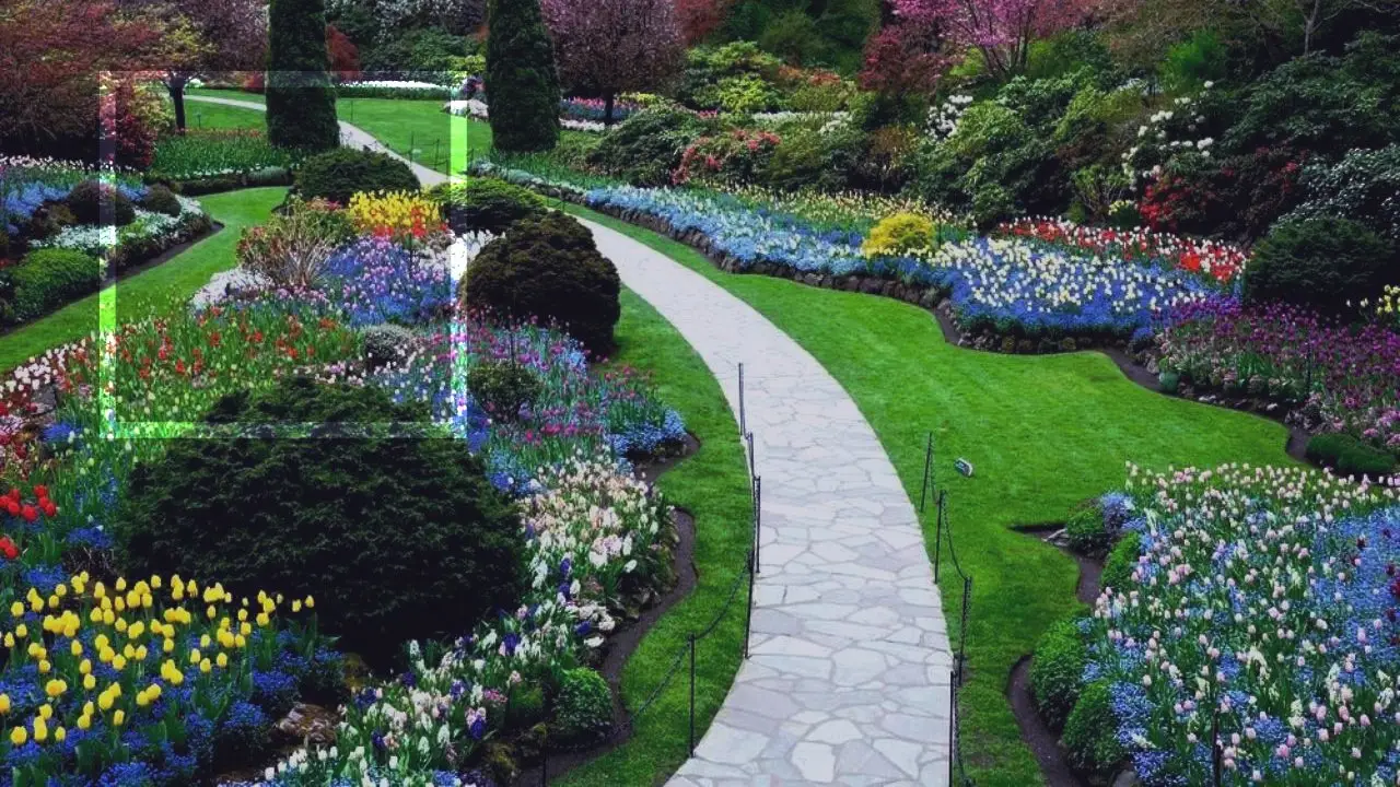 Quais as melhores plantas para jardim?